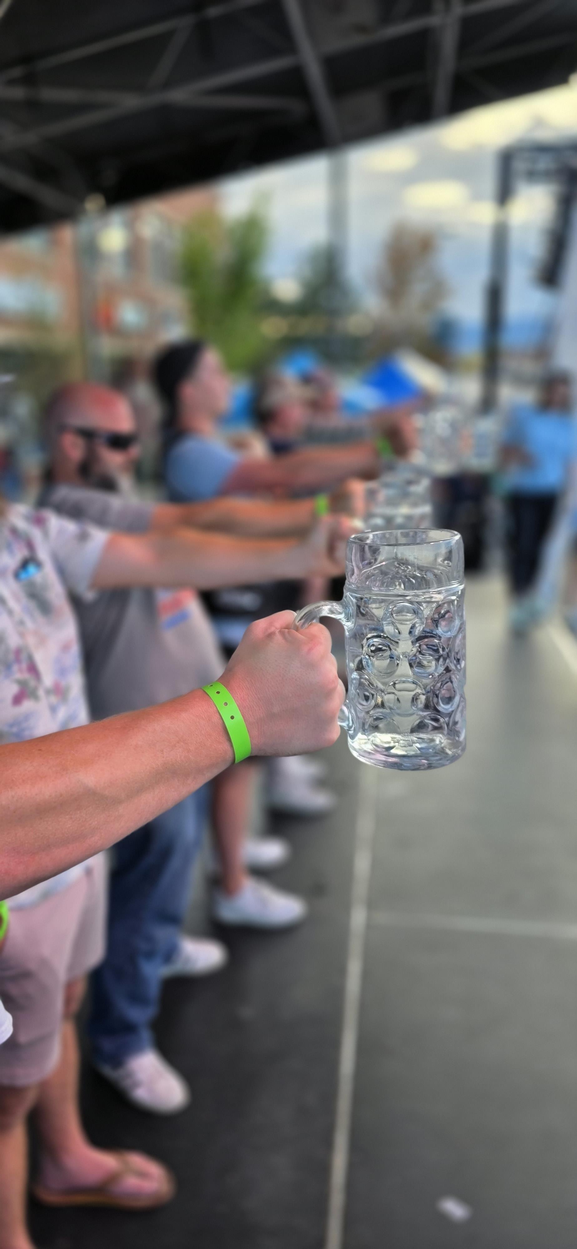 Stein Hoisting Competition